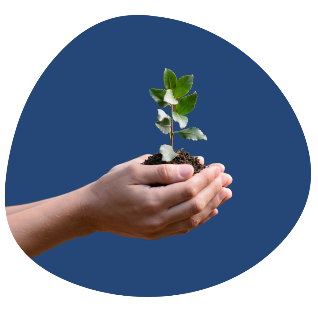 workshops: ga de oefening van zelfreflectie aan. Raad van de Koning – innerlijk leiderschap en conflict