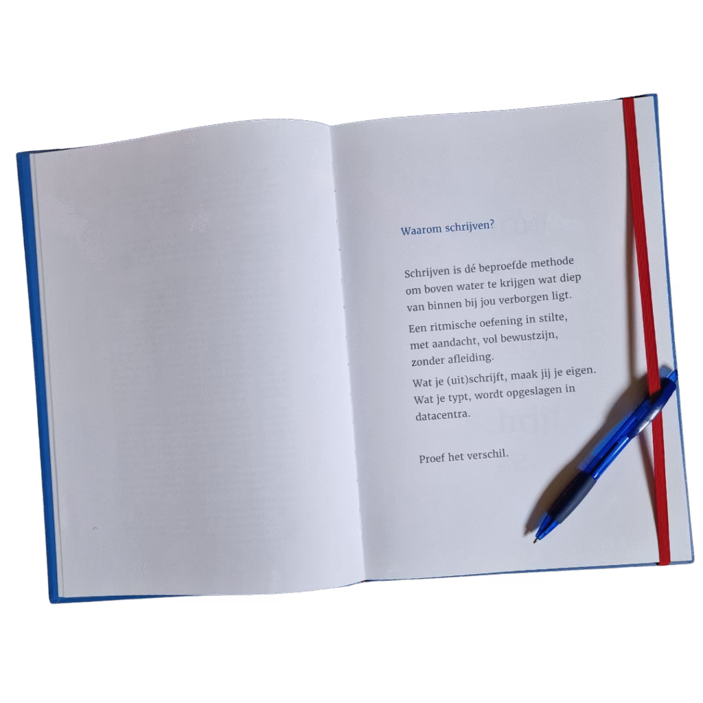 Cupido schiet raak - journal - Ingrid de Koning
